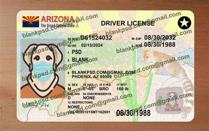 What is a full year Arizona resident?