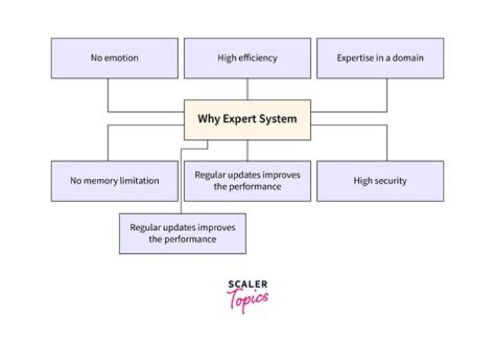 What is a fuzzy set what is an expert system?