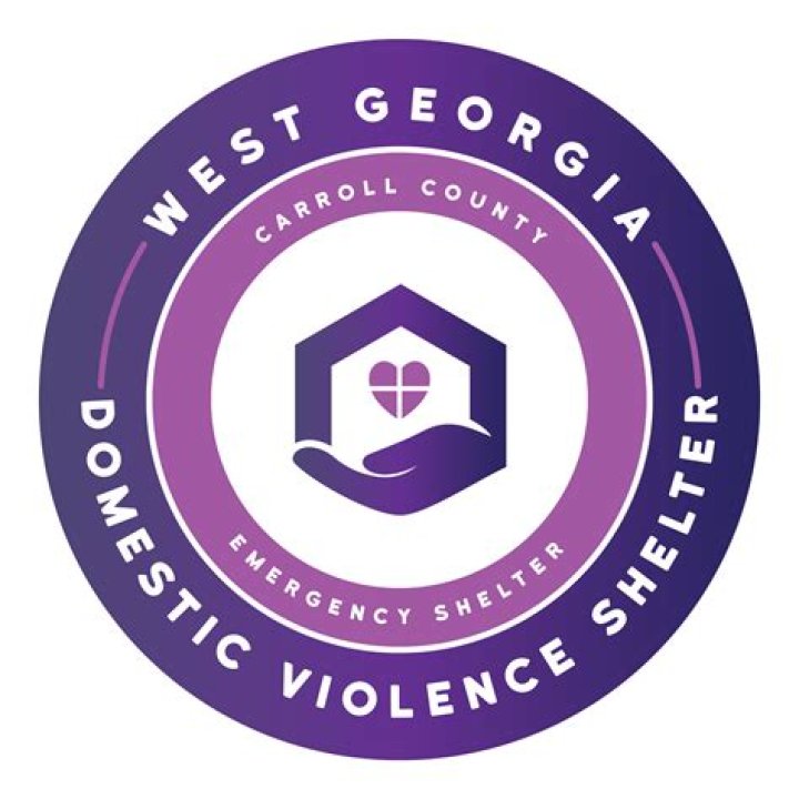 What is a Georgia domestic profit corporation?