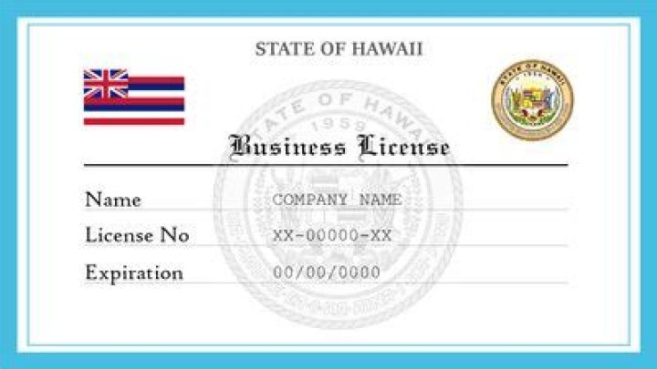 What is a Hawaii business license?