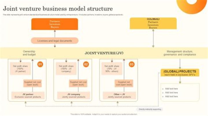 What is a joint venture business structure?