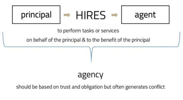 What is a principal director?