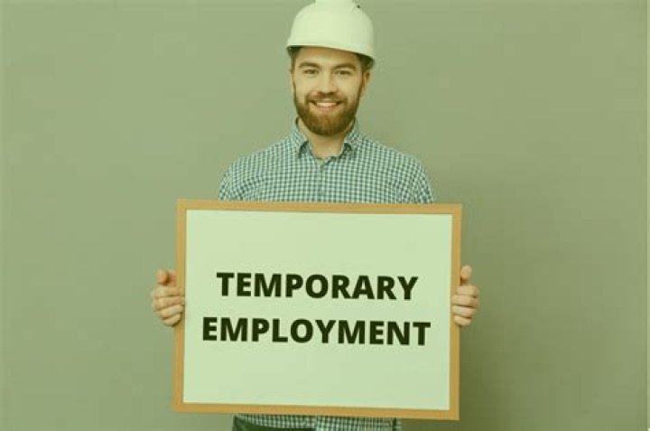 What is a temporary federal employee?