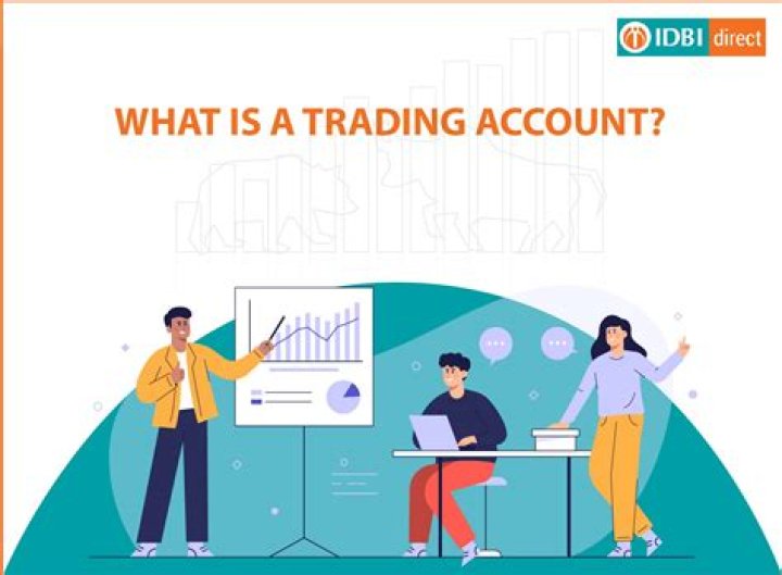 What is a trading and investment company?