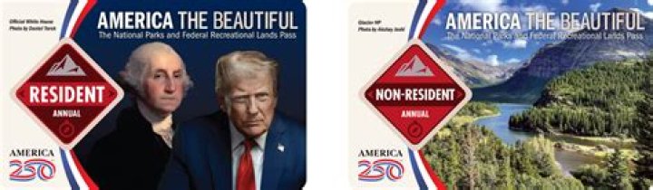 What is a US non resident?