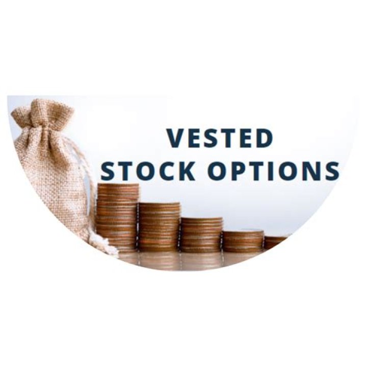 What is a vested stock grant?