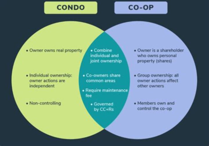 What is an example of common interest ownership?