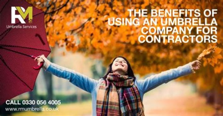 What is an umbrella company for contractors?