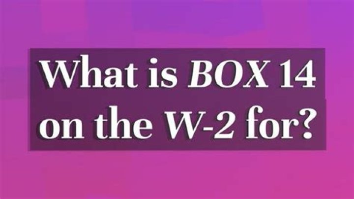 What is Box 14 NY SDI?