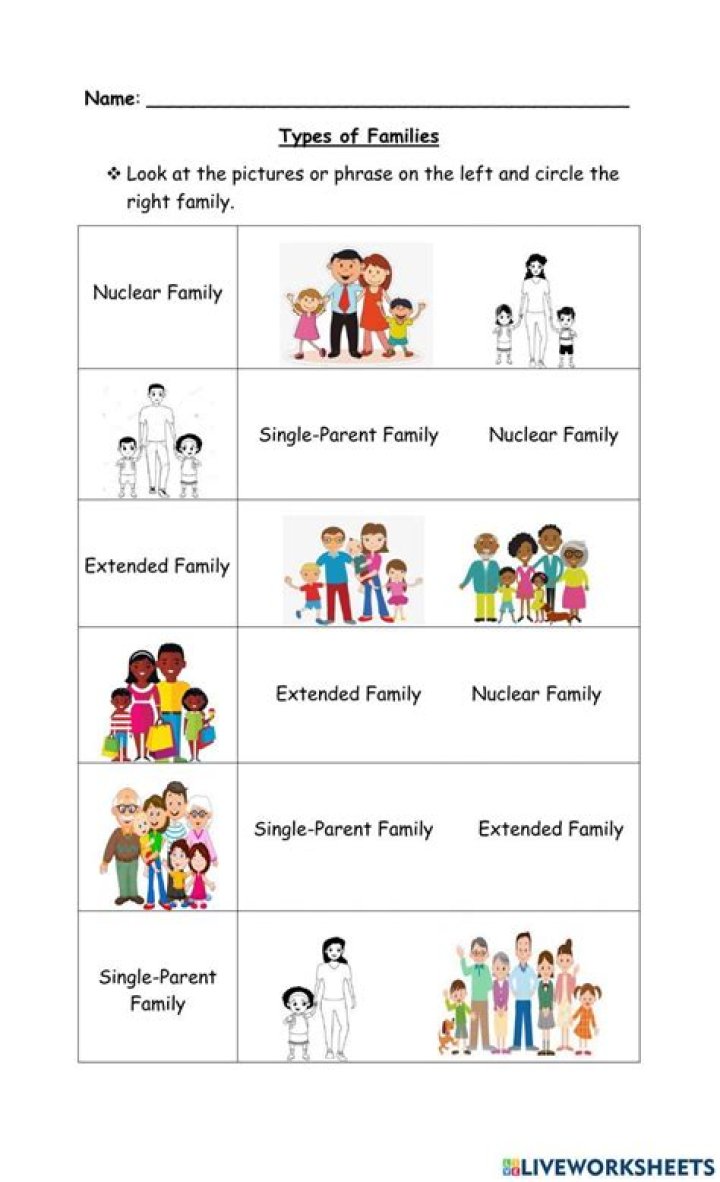 What is Class 3 single parent family?