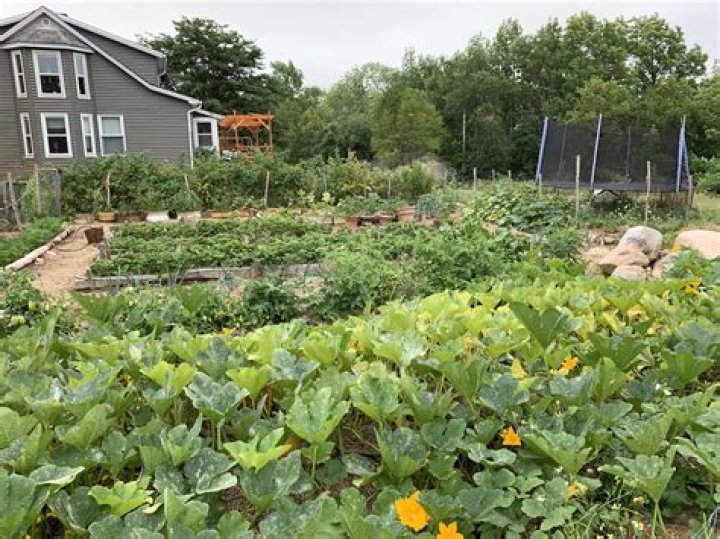 What is considered hobby farming?