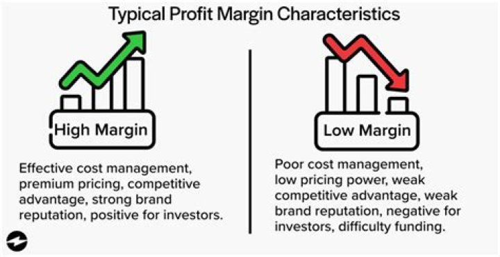 What is considered low profit margin?