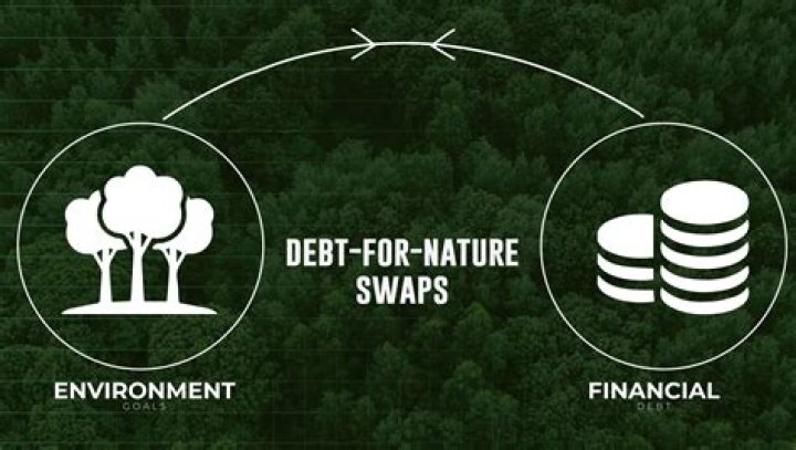 What is Debt for Nature Program?