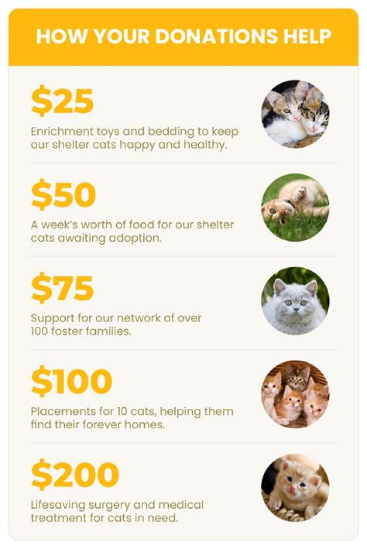 What is donation purchase?