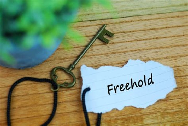 What is freehold type of ownership?