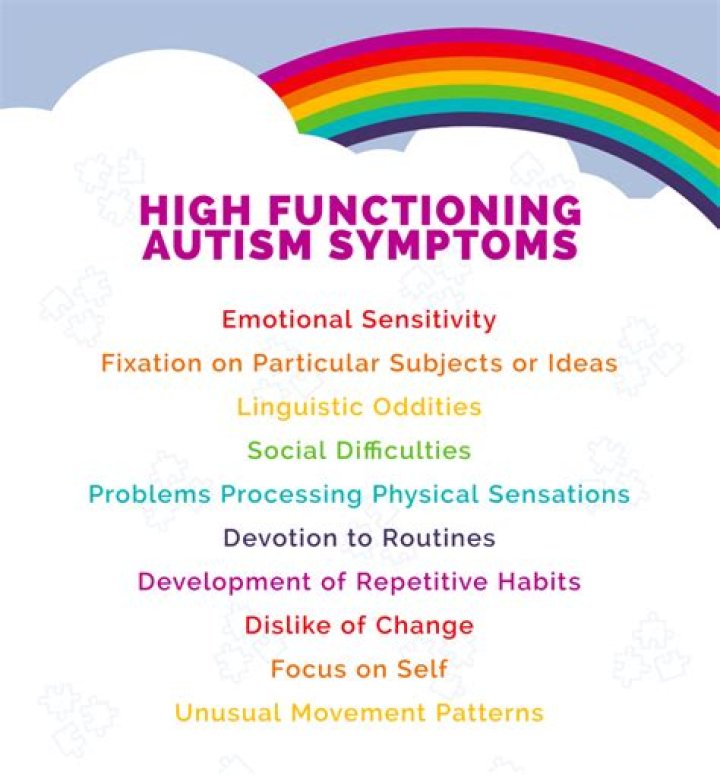 What is high functioning special needs?