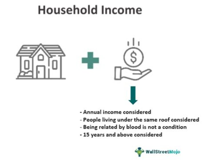 What is household nontaxable income?