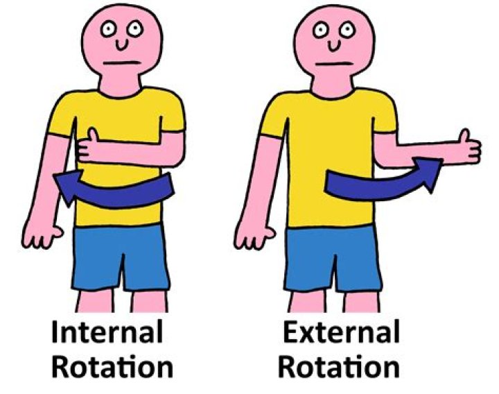 What is internal and external rotation?