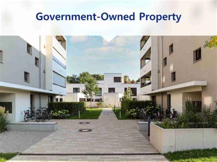 What is it called when property is owned by the government?
