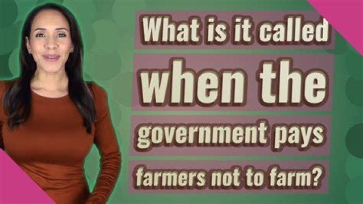What is it called when the government pays farmers not to farm?