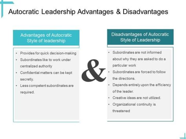 What is leadership advantages and disadvantages?