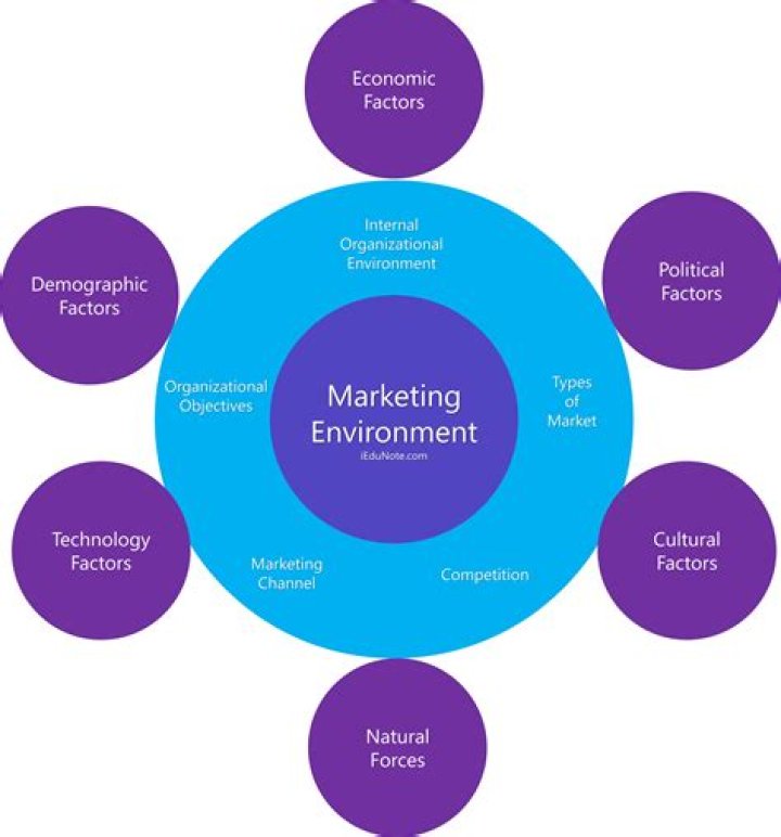 What is marketing intermediaries in micro environment?