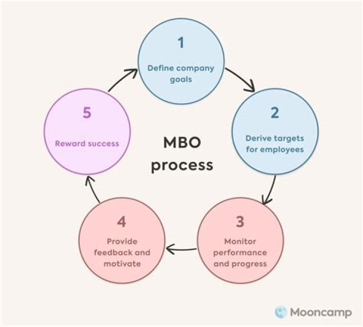 What is MBO process in management?