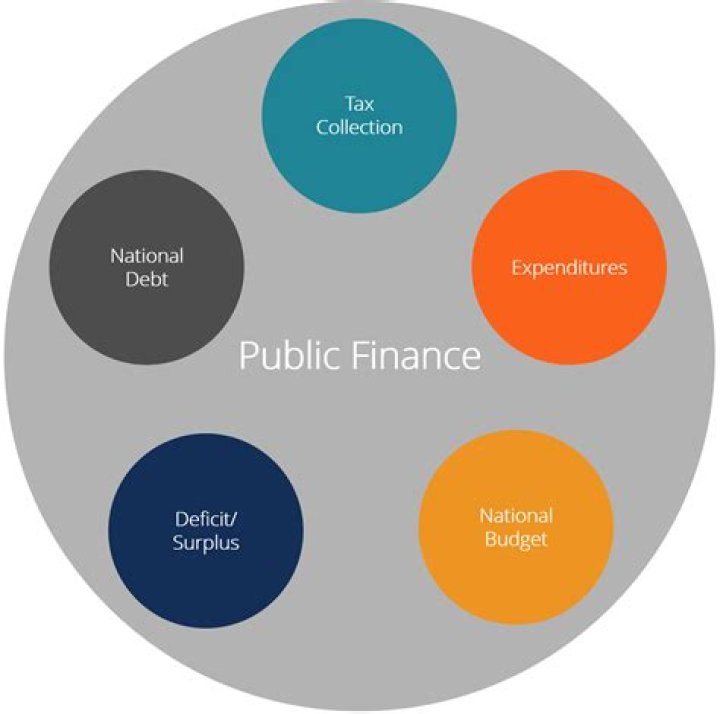 What is meant by public finance management?