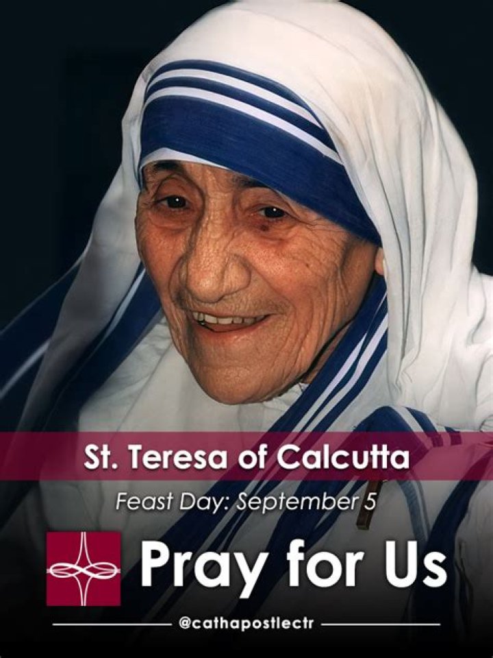 What is Mother Teresa the patron saint of?