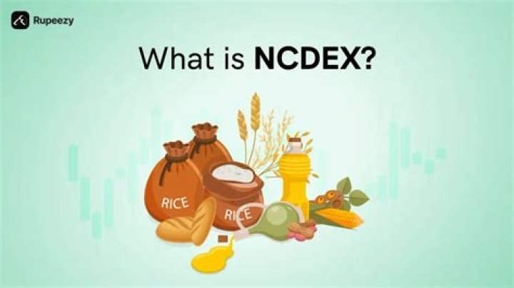 What is NCDEX?