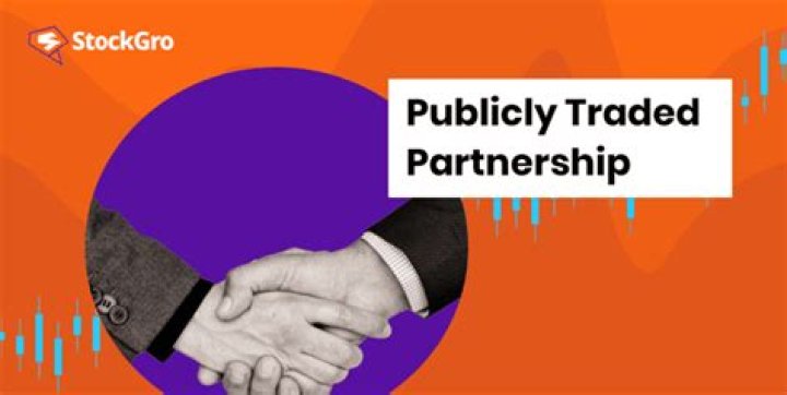 What is non publicly traded partnership?