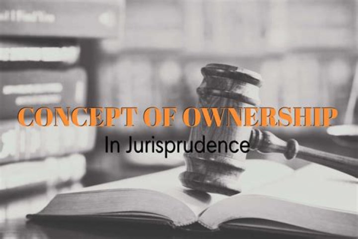 What is ownership dispersion?