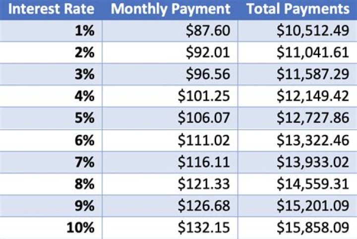 What is repayment interest?