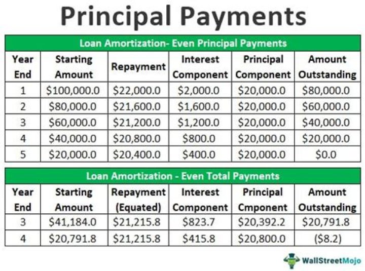 What is repayment of principal?