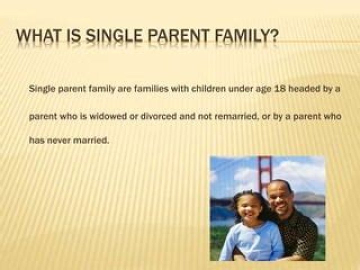 What is single parent Family 3?