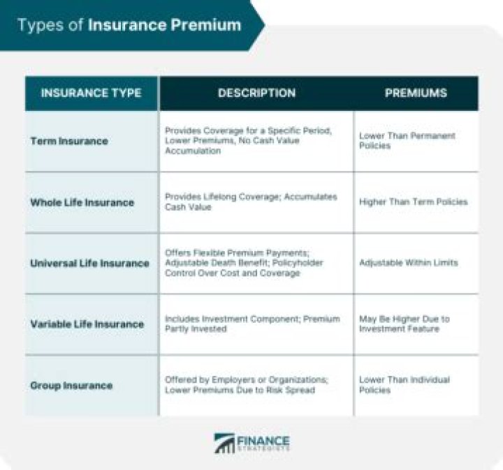 What is single premium insurance?