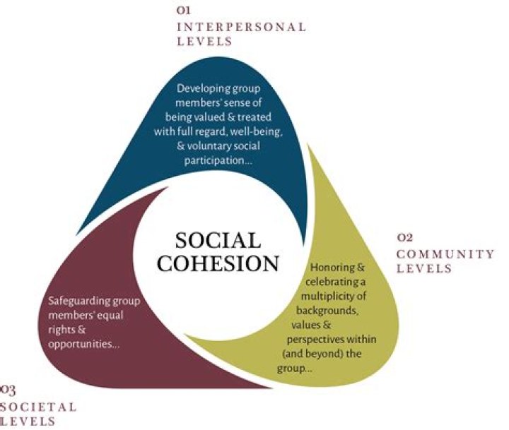 What is social cohesion?