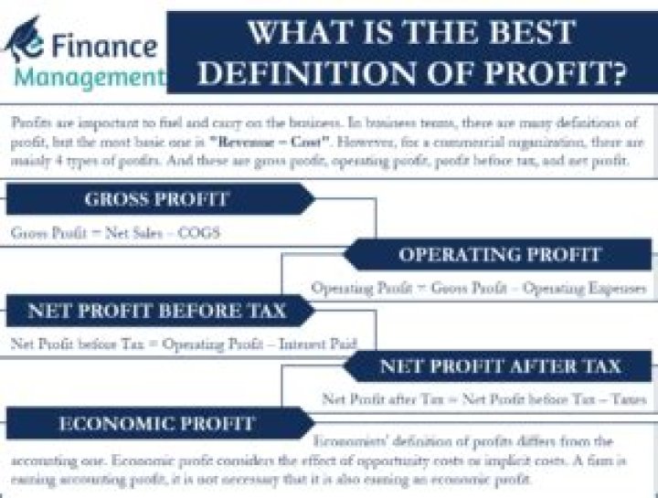 What is the best definition of profit profit is the possible?