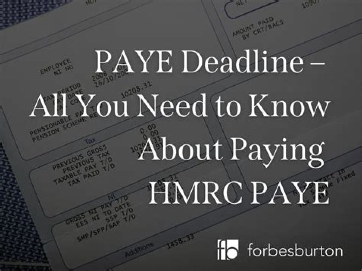 What is the deadline for paying PAYE?