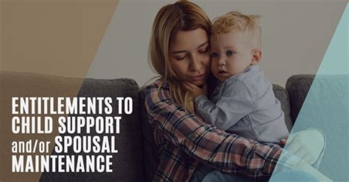 What is the difference between child support and maintenance?