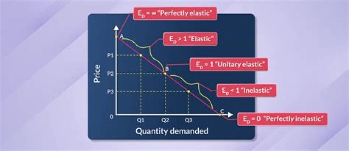 What is the difference between elasticity and slope?