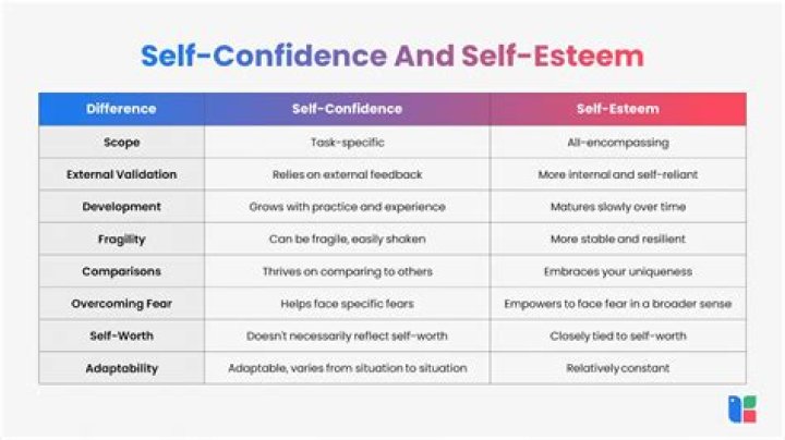 What is the difference between self-employed independent contractor and sole proprietor?