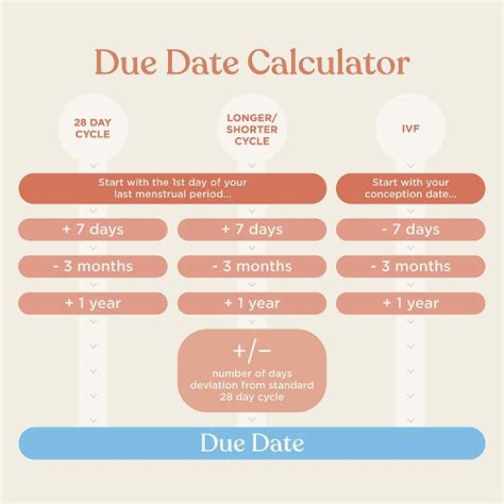 What is the due date for PAYE?