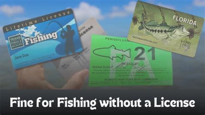 What is the fine for fishing without a license in Georgia?
