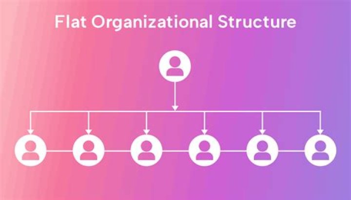 What is the flat organizational structure?