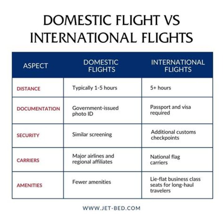 What is the meaning of domestic and international flights?