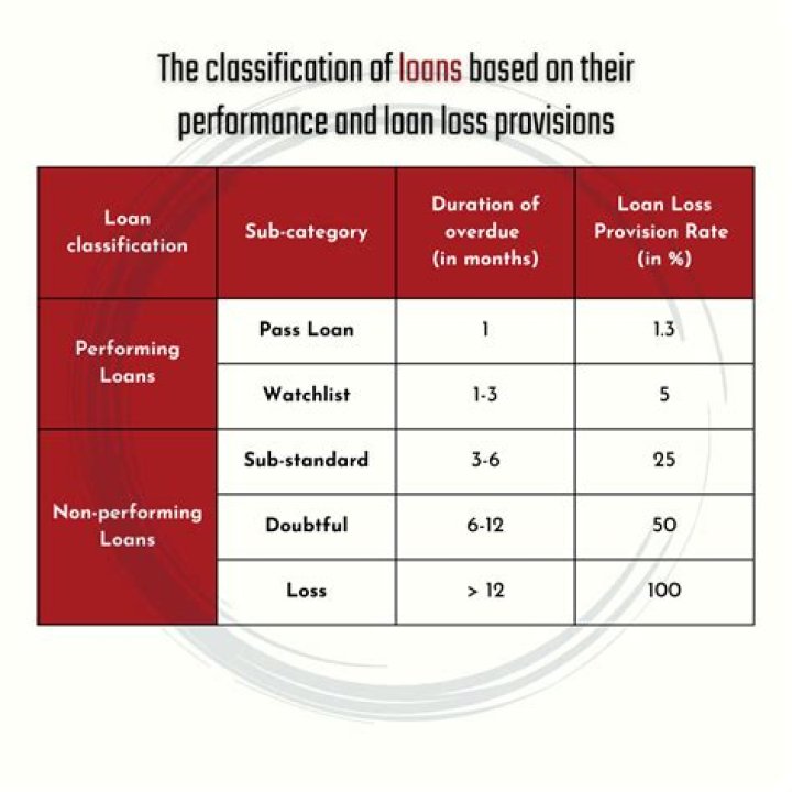 What is the meaning of non performing loan?