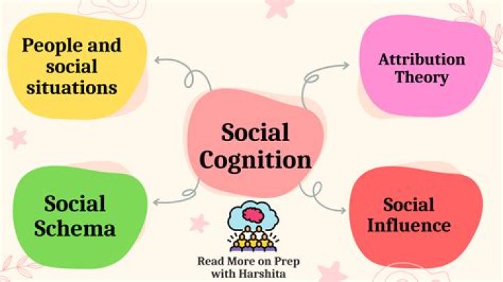 What is the meaning of social cognition?