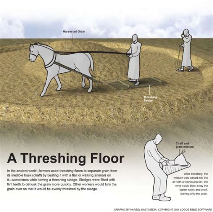 What is the meaning of threshing floor?