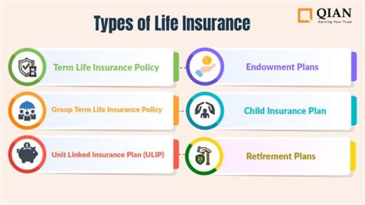 What is the owner of a life insurance policy called?